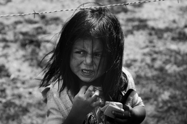 familia landsmanas, catedra elias landsmanas, migracion infantil, responsabilidad social universidad anahuac